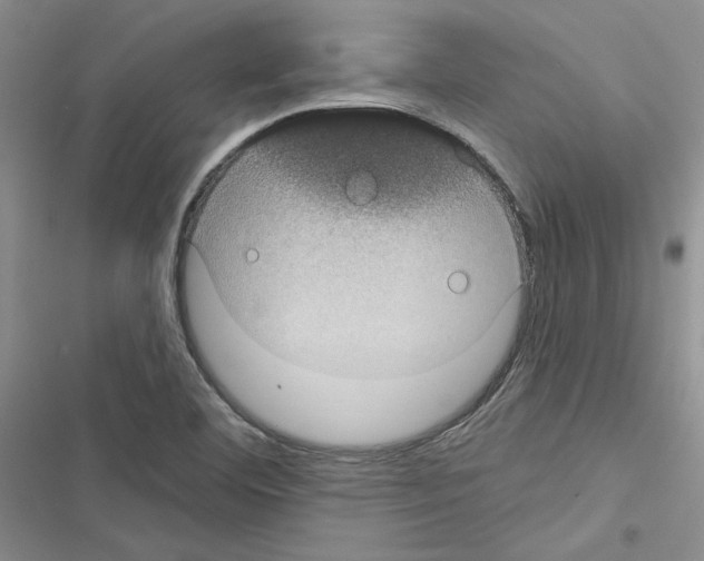 X0000116611460201001221309