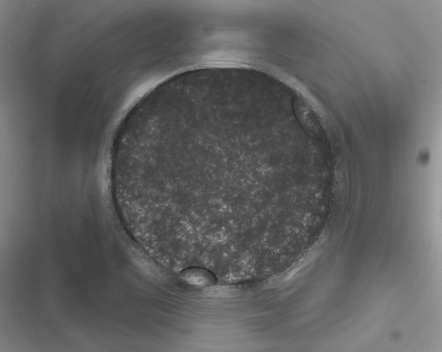 X0000116611461201001221309