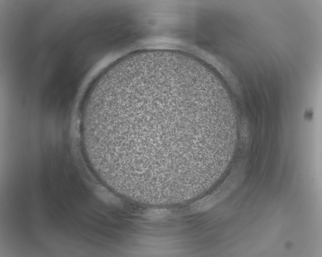 X0000116611462201001221309