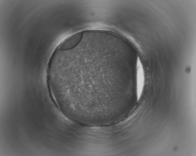 X0000116611463201001221309