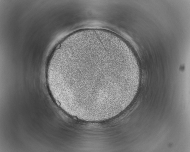 X0000116611464201001221309