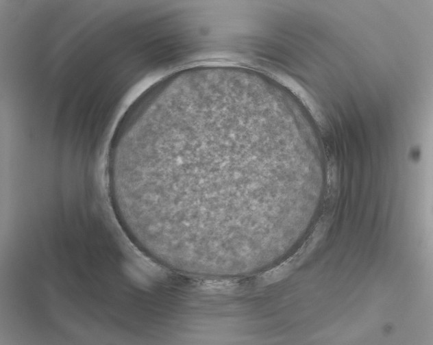 X0000116611466201001221309