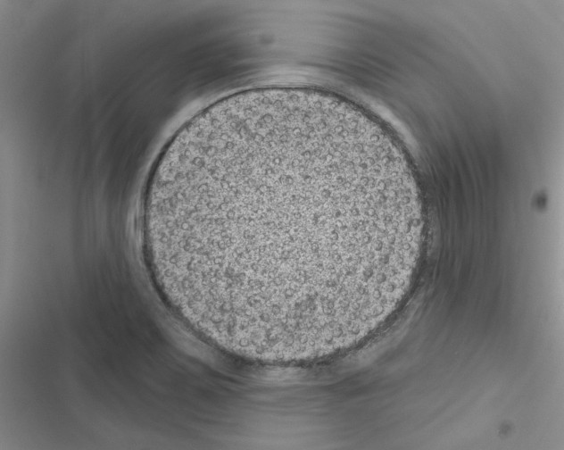 X0000116611467201001221309