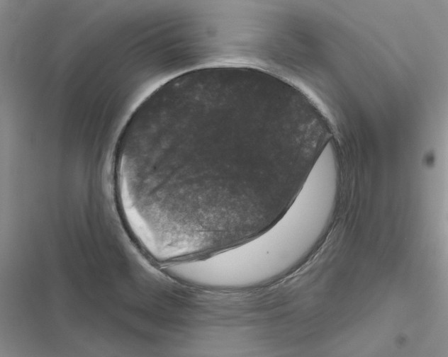 X0000116611468201001221309