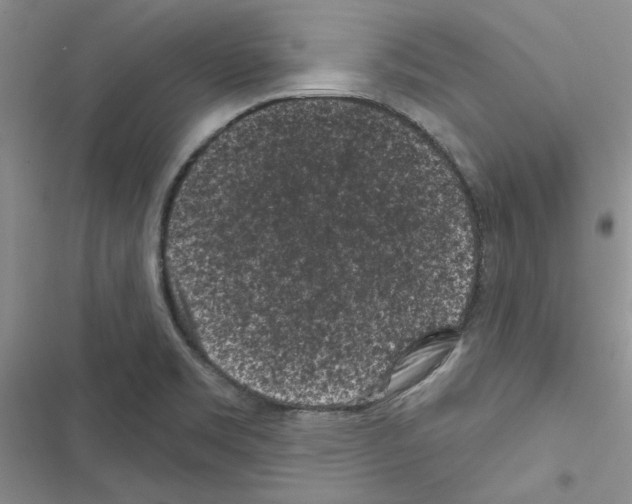 X0000116611469201001221308