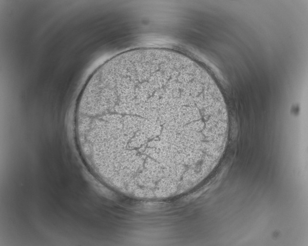 X0000116611471201001221308