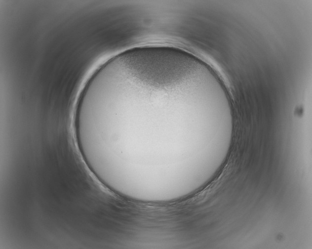 X0000116611472201001221308