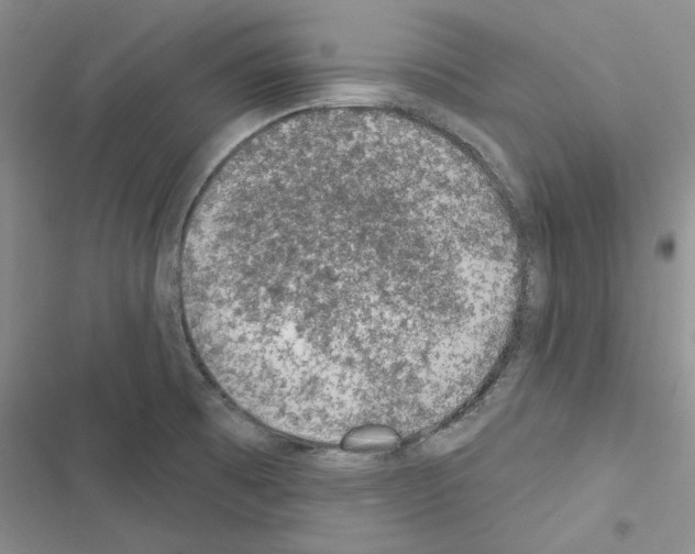 X0000116611473201001221308