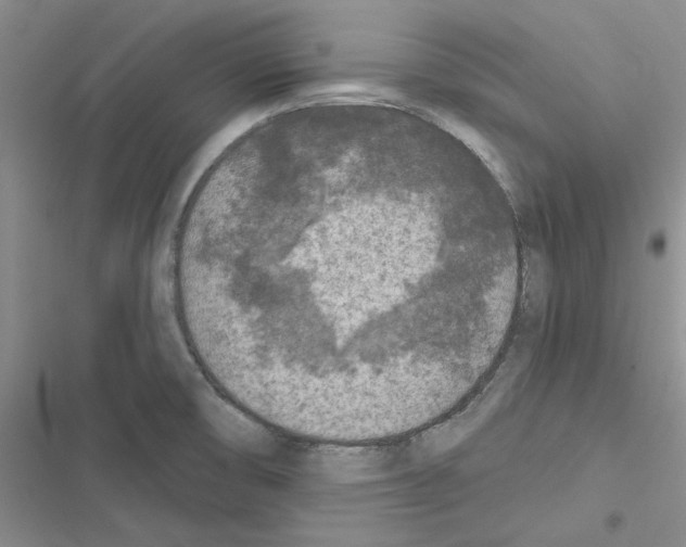 X0000116611474201001221308