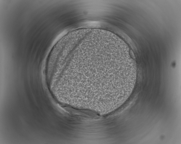 X0000116611475201001221308