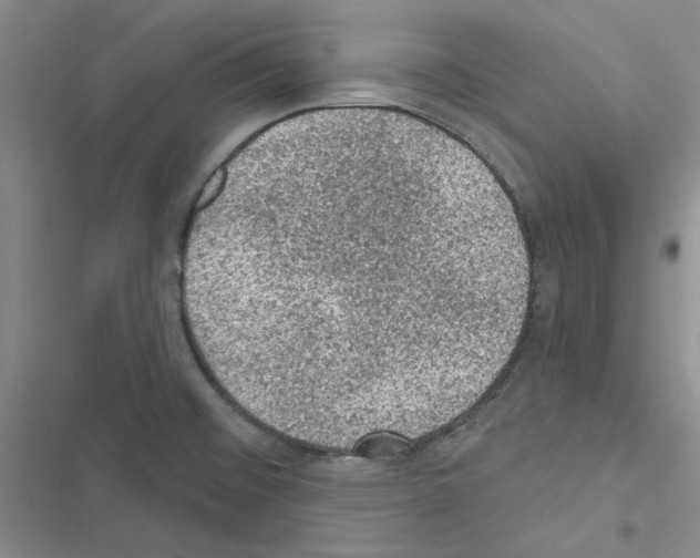 X0000116611476201001221308