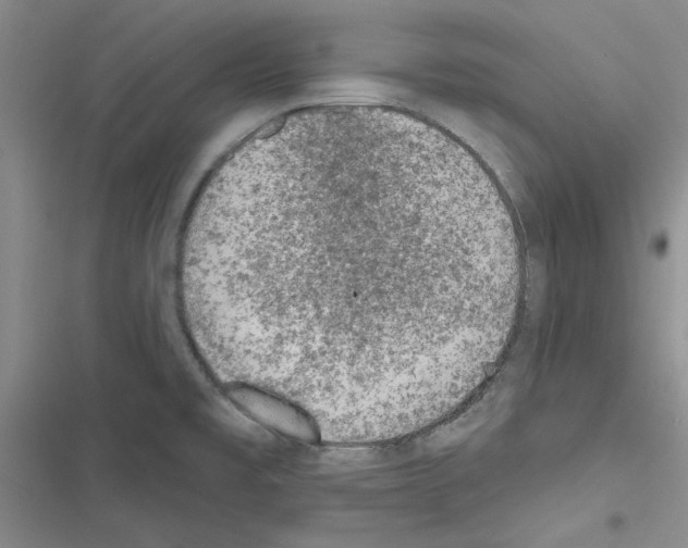 X0000116611477201001221308