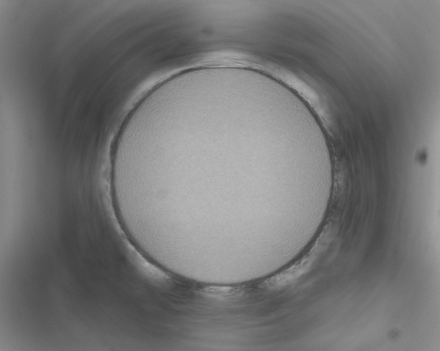 X0000116611478201001221308