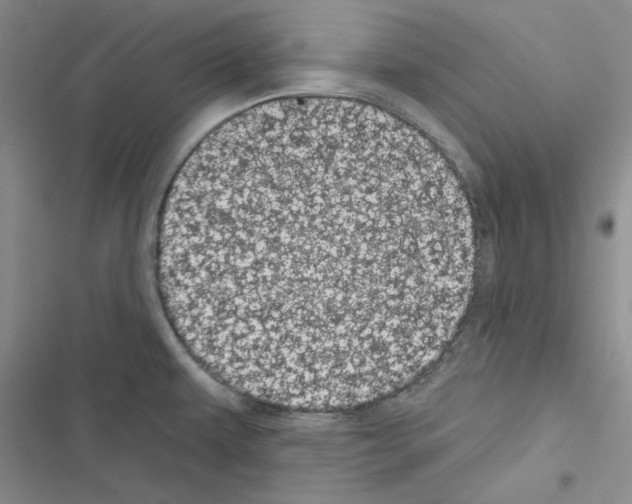 X0000116611479201001221308