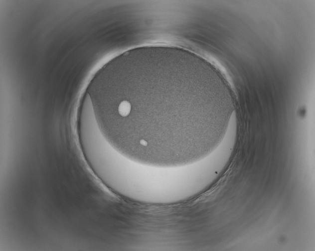 X0000116611480201001221308