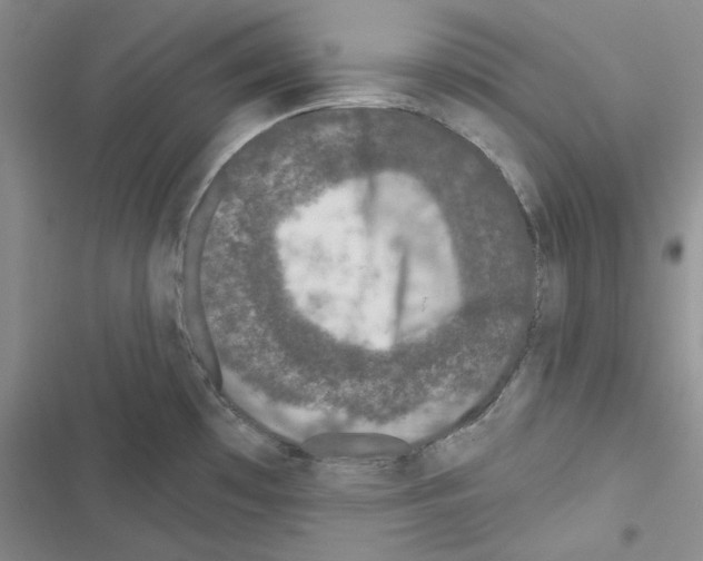 X0000116611481201001221308