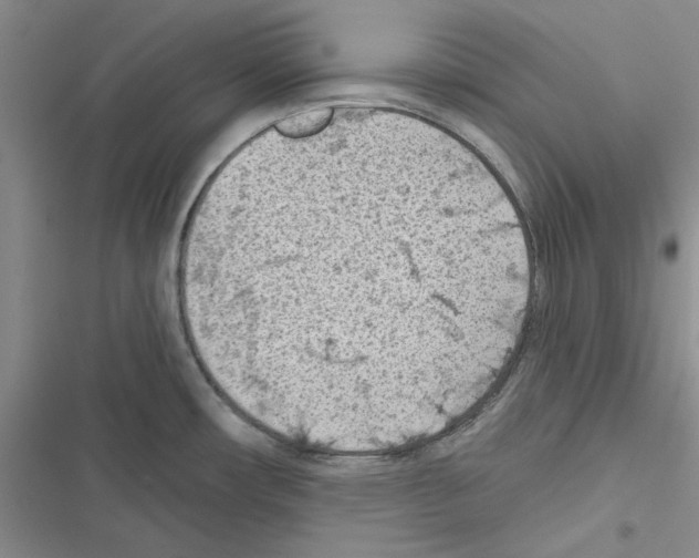 X0000116611482201001221308