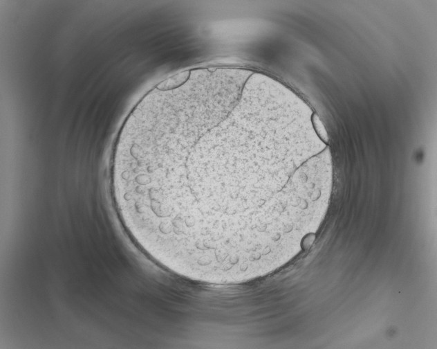 X0000116611483201001221308