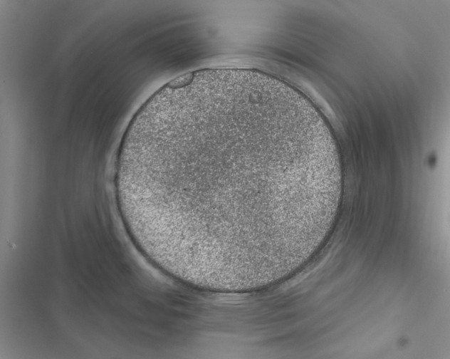 X0000116611484201001221308