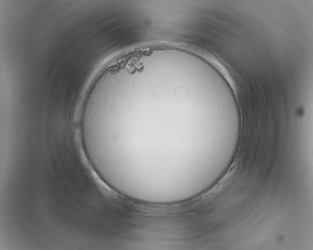 X0000116611485201001221308