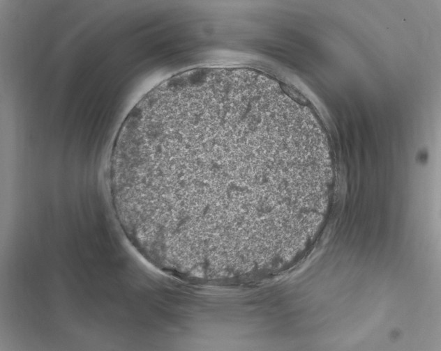 X0000116611487201001221308