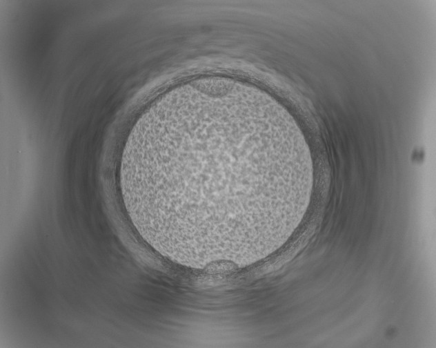 X0000116611489201001221307