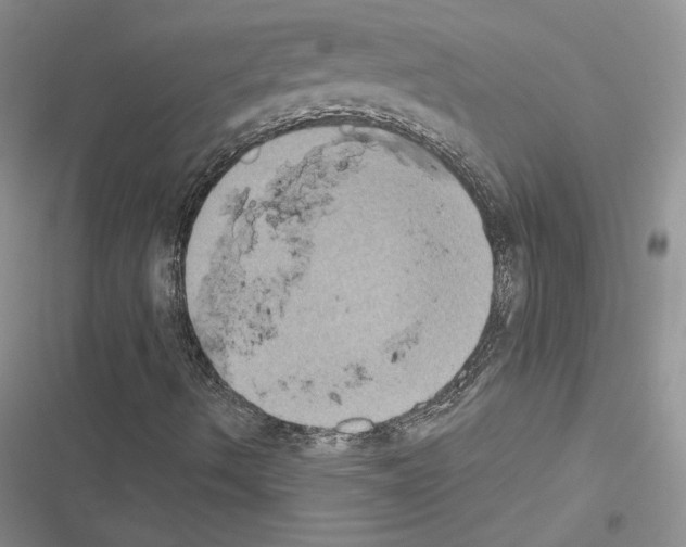 X0000116611490201001221307