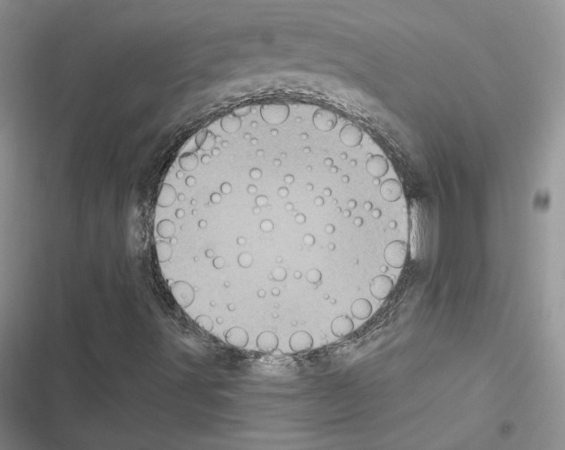 X0000116611491201001221307