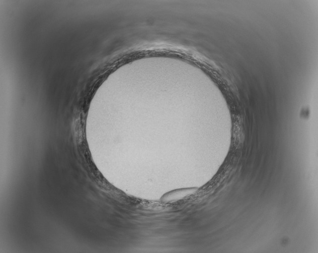 X0000116611493201001221307