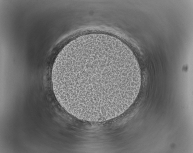 X0000116611494201001221307