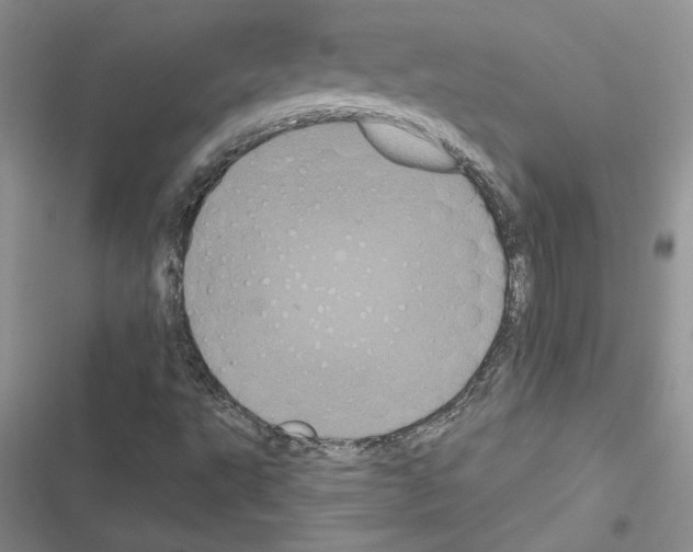 X0000116611495201001221308