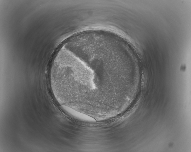 X0000116611497201001221308