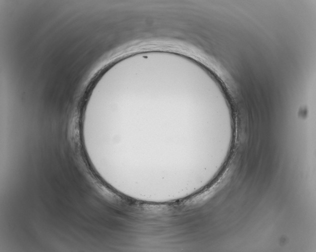 X0000116611498201001221308