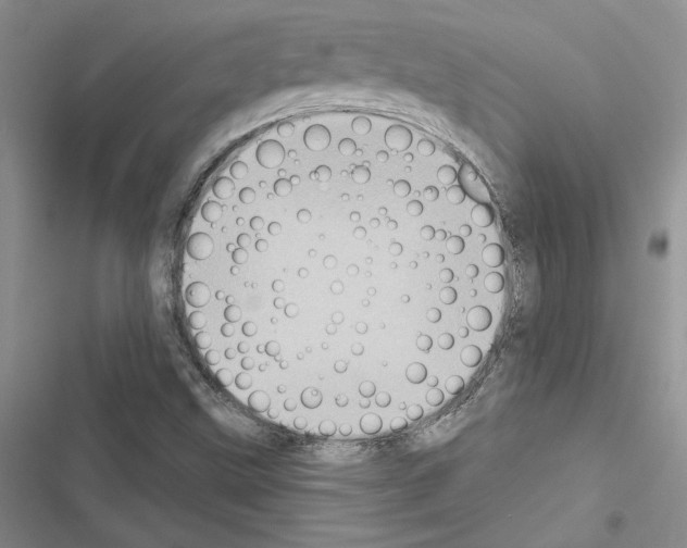 X0000116611499201001221308