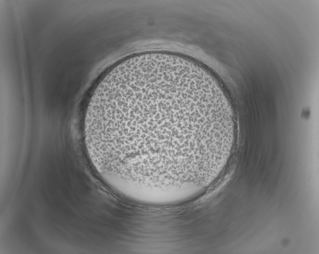 X0000116611501201001221308