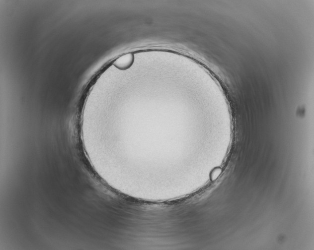 X0000116611502201001221308