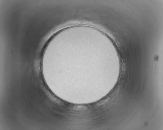 X0000116611503201001221308