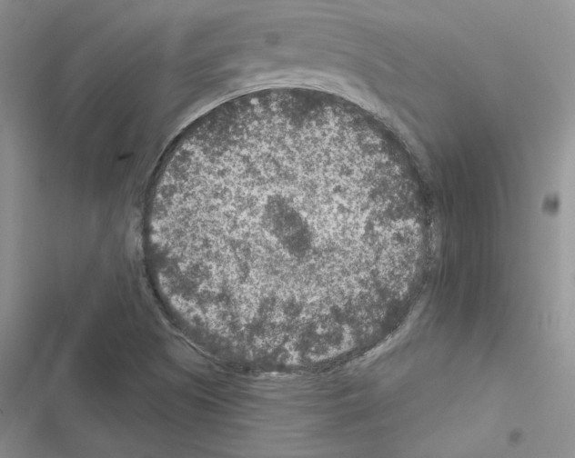 X0000116611505201001221308