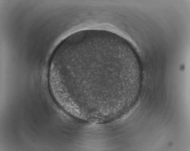 X0000116611506201001221308