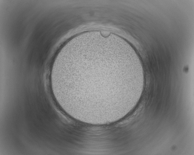 X0000116611507201001221308