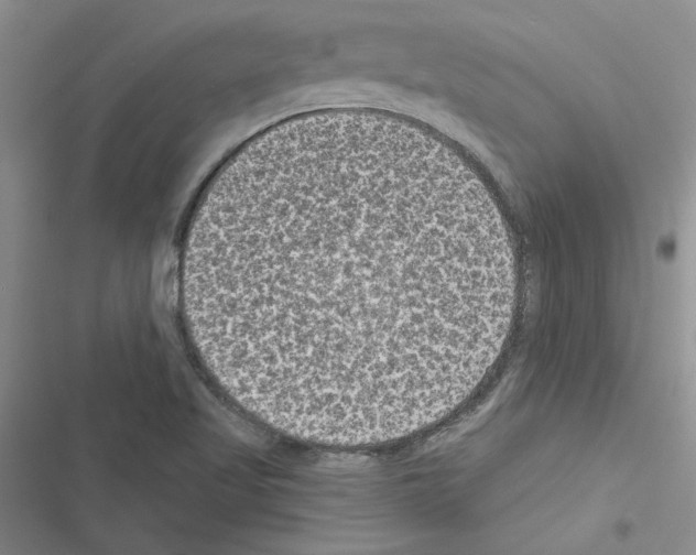 X0000116611509201001221308