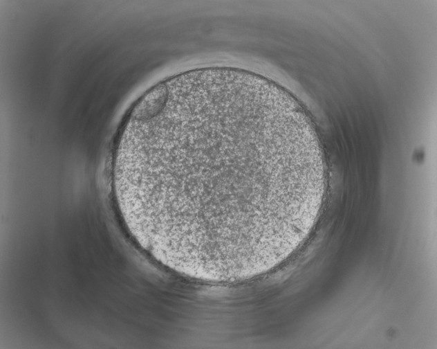 X0000116611510201001221308