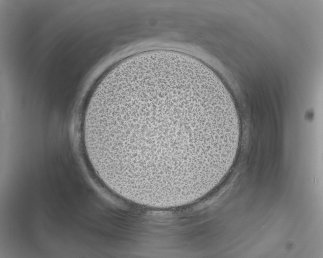 X0000116611511201001221308