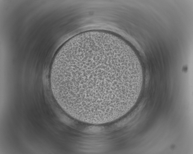 X0000116611513201001221308