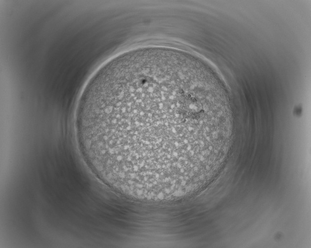 X0000116611514201001221308