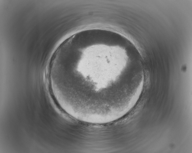 X0000116611515201001221308