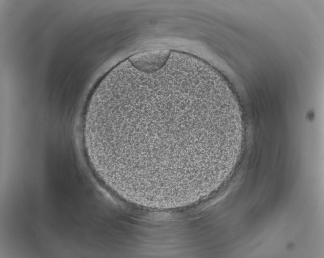 X0000116611517201001221308