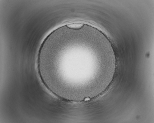 X0000116611518201001221308