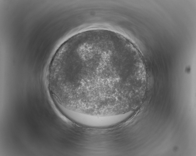 X0000116611519201001221308