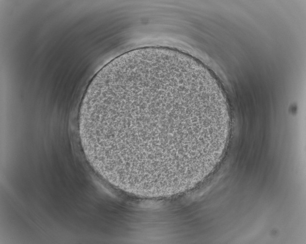 X0000116611521201001221308